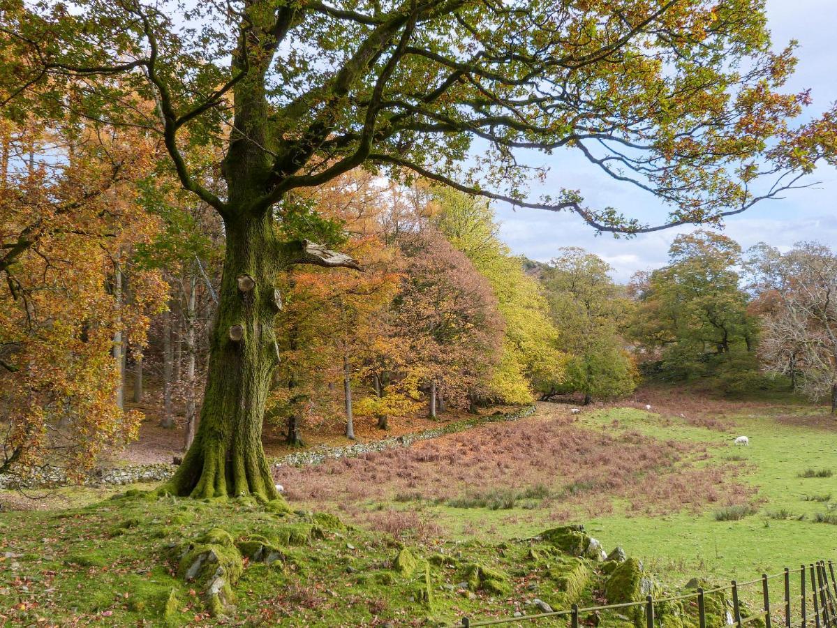 Cherry - Woodland Cottages Bowness-on-Windermere Dış mekan fotoğraf